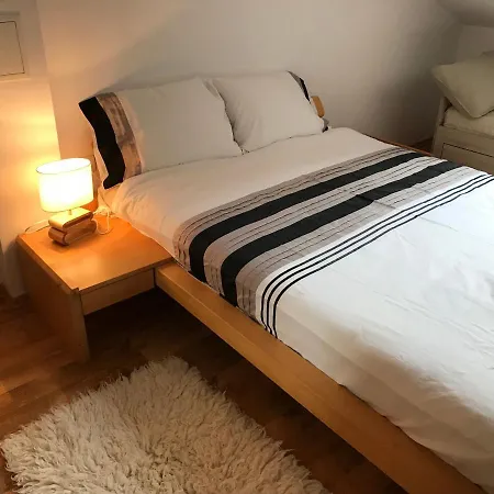 Lejlighedshotel Mountain View Penthouse Bansko